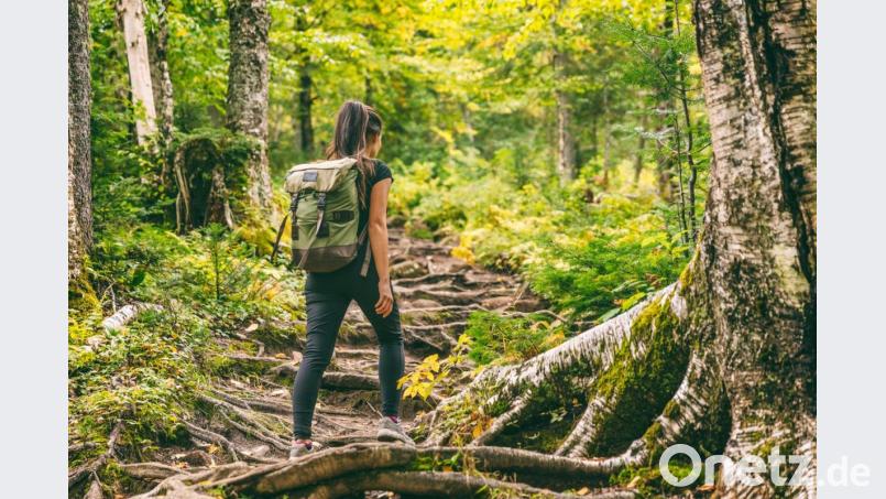 Ein Spaziergang im Wald tut Körper und Seele gut. Bild: Maridav – stock.adobe.com