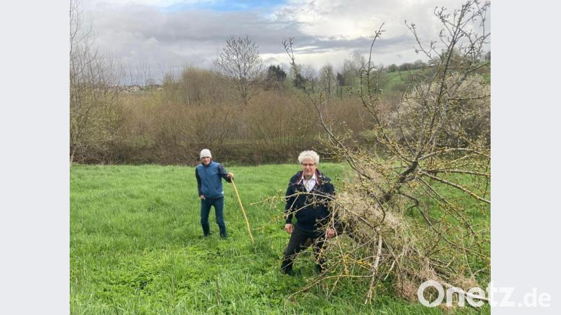 Bürgermeister Robert Lindner (vorn) und der OWV-Vorsitzende Markus Staschewski im Biotop „Rosserlohe“, um das sich der Waldverein seit Jahren kümmert. Flora und Fauna dort entwickeln sich gut, wie sich bei einem Termin mit Mathilde Müllner vom Naturpark gezeigt hat. Bild: OWV Floß/exb