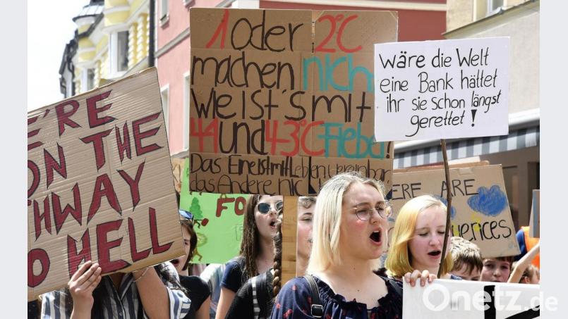 Eine von zahlreichen Demos von &quot;Fridays for Future&quot; im Mai 2019 vom Maltesergarten bis zum Marktplatz Archivbild: Petra Hartl