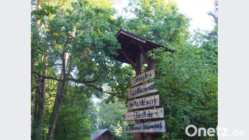 Die Höllohe begrüßt ihre Gäste. In der Freizeiteinrichtung soll eine neue Spiellandschaft entstehen. Bild: Stefan Jahreiß/exb
