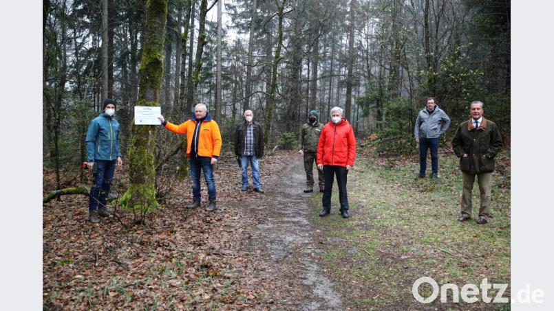 In Anwesenheit von (von links) Revierleiter Carsten Klöble, Forstbetriebsleiter Norbert Zintl, Naturpark-Geschäftsführer Ernst Tippmann, Ranger Jonas Ständer, Bürgermeister Johannes Reger, Steinwald-Allianz-Geschäftsführer Martin Schmid und des Naturpark-Vorsitzenden Eberhard Freiherr von Gemmingen-Hornberg wurde das erste Sperr-Schild angebracht. Bild: njn