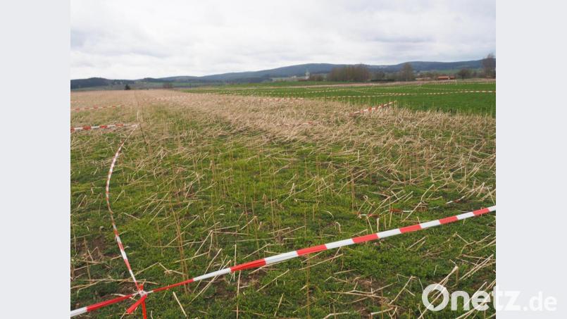 Die Ziegler-Group ist bereits Besitzer der Fläche „Am langen Rain“. Bild: ws