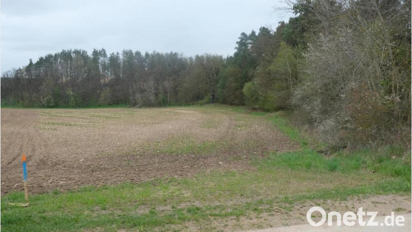 Ende 2021 beginnen die Sicherungsarbeiten im Bereich der Flotationssandhalde auf der ehemaligen Betriebsfläche der Grube Marienschacht (durch den Wald verdeckt) in Wölsendorf. Auf der unmittelbar angrenzenden einen hektargroßen Pachtfläche entsteht eine temporäre Zwischenlagerfläche für maximal 10.000 Kubikmeter unbelasteten Erdaushubs. Das Gelände wird später wieder in den ursprünglichen Zustand zurückgeführt. 
 . Bild: ohr