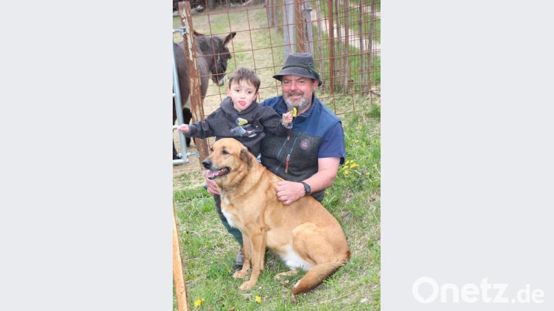 Tim liebt die Tiere auf dem Hof seiner Pflegeeltern. Hund Erik spürt, wenn Tim ihn braucht. Tim mag aber auch den Esel auf der Koppel hinter ihm. Da Tim mit seinen sechs Jahren immer noch ein Leichtgewicht ist, kann Pflegepapa Bernhard Stich ihn noch problemlos überall hintragen, denn laufen kann Tim nicht. Bild: rpp
