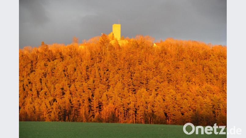 Die Bäume am Burgberg waren in Rot getaucht Bild: Josef Böhm
