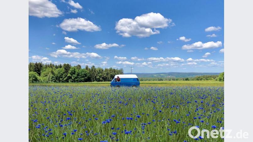Simon Kostials Foto mit dem Titel „Ins Blaue hinein“. Bild: Simon Kostial/exb