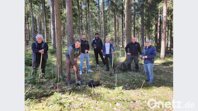 Pflanzaktion im Marktredwitzer Forst zwischen Marktredwitz und Thölau: Im Bild von links Stadtförster Roland Blumenthaler, Bernhard Schmidt (Chefdienstleister für land- und forstwirtschaftliche Arbeiten), Multicycle-Storeleiter Fabian Purucker, Geschäftsführer Simon Tangerding von der Schutzgemeinschaft Deutscher Wald, Landesverband Bayern, Multicycle-Onlineshop-Leiter Alexander Moser, Oberbürgermeister Oliver Weigel mit Hund Willi sowie der Klimaschutzmanager der Stadt Marktredwitz, Christopher Thieser. Bild: Biczysko/fph