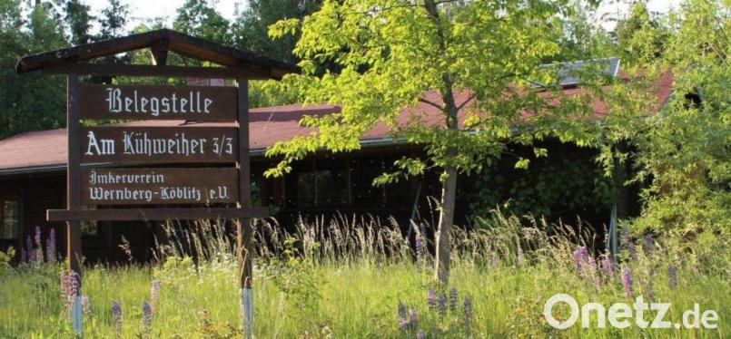 Die Belegstelle „Am Kühweiher“, die der Imkerverein Wernberg-Köblitz betreibt, öffnet ihre Pforten für die Anlieferung von Königinnen zur Begattung. Bild: Werner Kick, Imkerverein Wernberg-Köblitz/exb