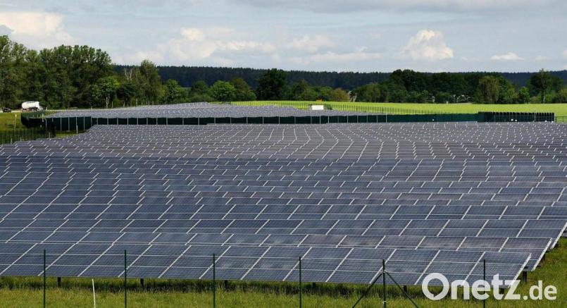 Mit Photovoltaikanlagen auf Freiflächen - wie hier in unserem Beispiel bei Ammersricht - befasste sich der Gemeinderat Leuchtenberg in seiner Sitzung. Archivbild: Hartl