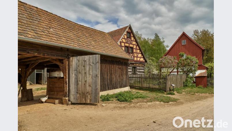 Das Oberpfälzer Freilandmuseum ist ab Freitag wieder offen. Bild: Florian Trykowski/exb