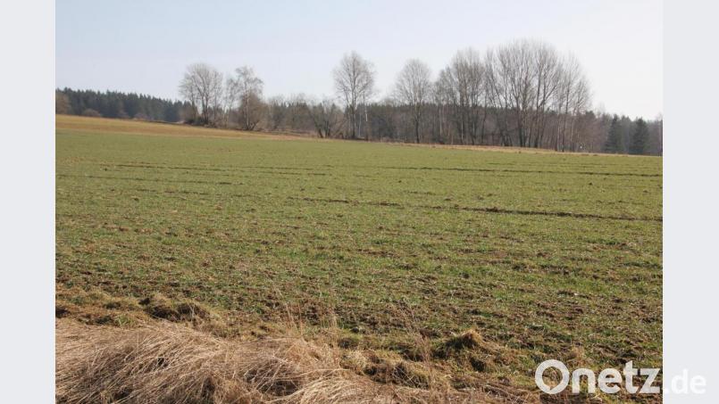 Am Poppenreuther Berg beginnen am Montag die Arbeiten für den Bau einer neuen Wasserverbindungsleitung von Mähring nach Poppenreuth. Bild: kro
