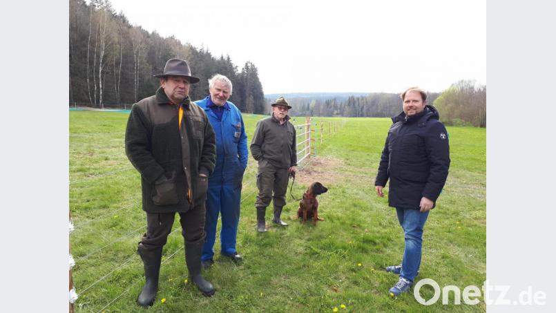 Anton Schicker hat auf seinem Grundstück bei Hundsbach einen Herdenschutzzaun errichten lassen. Von links der Hobby- und Nebenerwerbslandwirt zusammen mit Jagdherr Willi Robl, Hundeführer Otto Hecht und Hubert Schicker, Vorsitzender des Hegerings Münchenreuth. Bild: pz