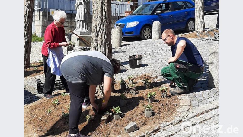 Gemeinsam mit einem Team aus Tännesberger Bürgern nahm Projektmanager Johannes Weinberger (rechts) die Neubepflanzung im Bereich des oberen Marktplatzes vor. Bild: rfi
