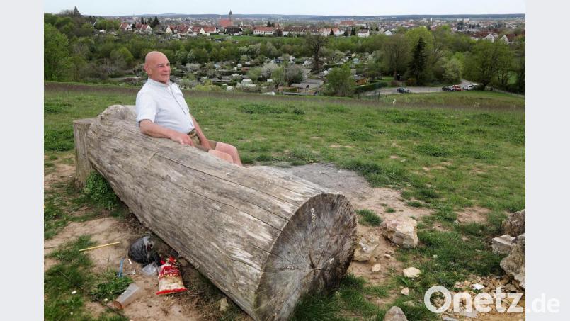 Herbert Schmidt auf der ehemaligen Deponie der Luitpoldhütte, die ihm gemeinsam mit einem Partner gehört. Leider muss er hier oft große Mengen an Müll wegräumen, was ihn sehr stört. Bild: Wolfgang Steinbacher