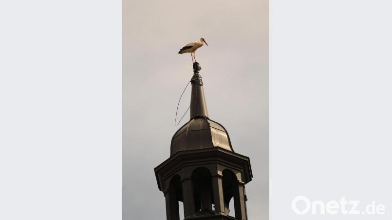 Der Winklarner Kirchturm hat seit 3. Januar keine Wetterfahne und kein Kreuz mehr, aber oft lässt sich ein Storch darauf nieder. Bild: amö