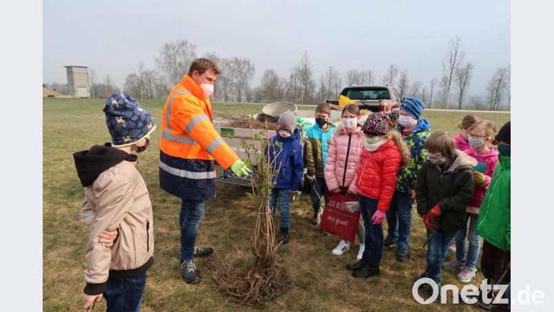 Gemeinsam mit Josef Roth von der Firma Punzmann durften die Schüler aus der 3. Klasse eine Hecke aus essbaren Wildfrüchten anlegen. Bild: Grundschule Plößberg/exb