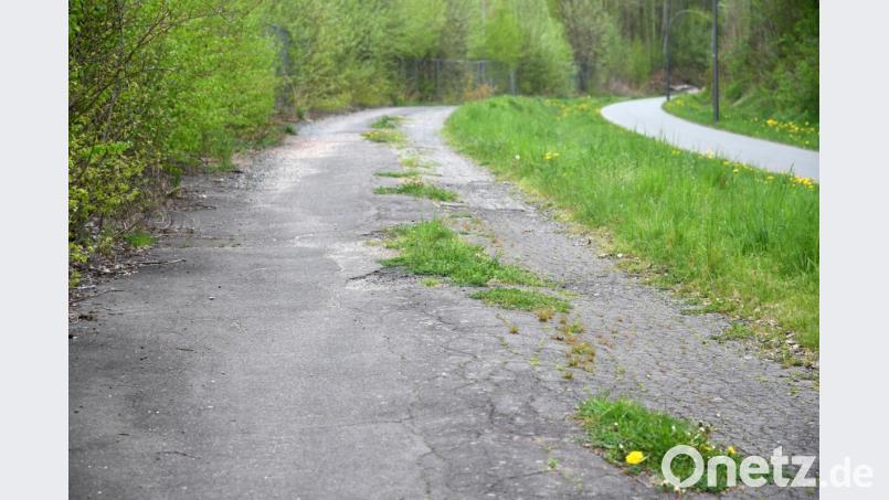 Neben dem Bocklradweg (rechts) führt ein verwildernder Weg zum ehemaligen Tritschler-Gelände. Der wird jetzt gesperrt. Bild: Gabi Schönberger