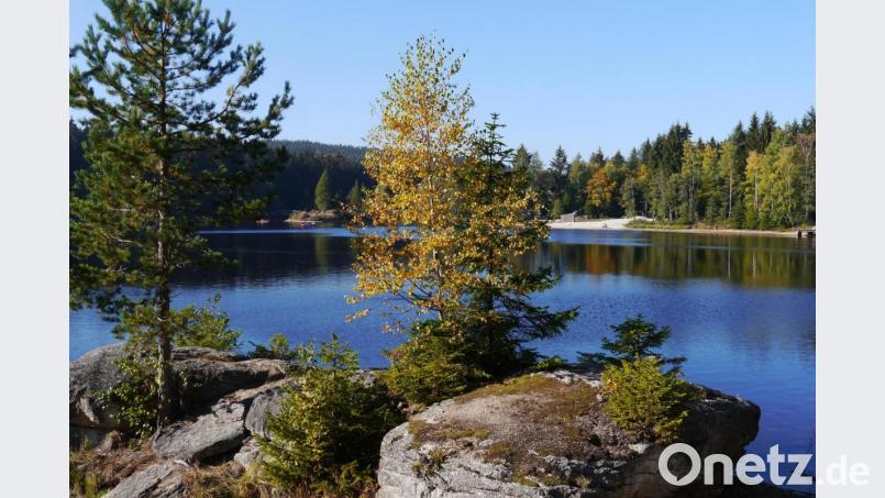 So schön ist es in der Erlebnisregion, hier im Bild der Fichtelsee. Bild: gis