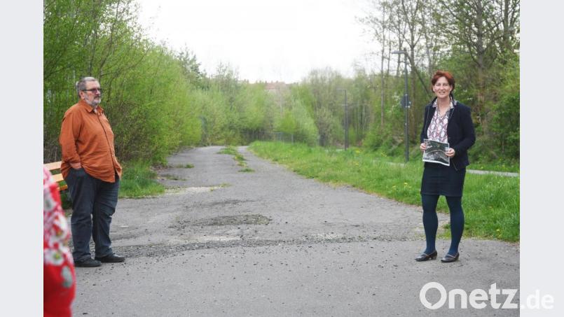 Neben dem Bocklradweg (rechts) führt ein verwildernder Weg zum ehemaligen Tritschler-Gelände. Der wird jetzt gesperrt. Bild: Gabi Schönberger