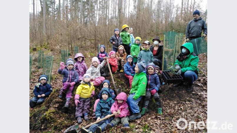 Auerbacher Waldkindergarten Pflanzaktion mit kleinen Tannen