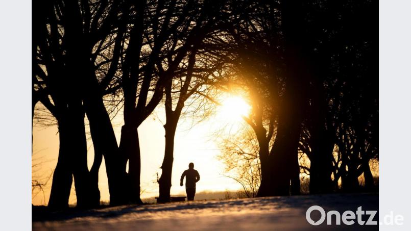 Bereits sein ganzes Leben geht es auf und ab. Nico kommt mit zehn Jahren ins SOS-Kinderdorf nach Immenreuth. Heute blickt der 26-Jährige mit &quot;erwachsenen Augen&quot; auf seine Kindheit zurück. Bild: Sina Schuldt/dpa