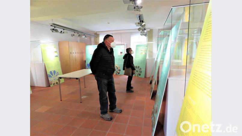 Auch ein Ehepaar aus Reuth bei Erbendorf hat den Weg ins Museumsquartier gefunden und schaute sich in aller Ruhe um. Bild: ubb