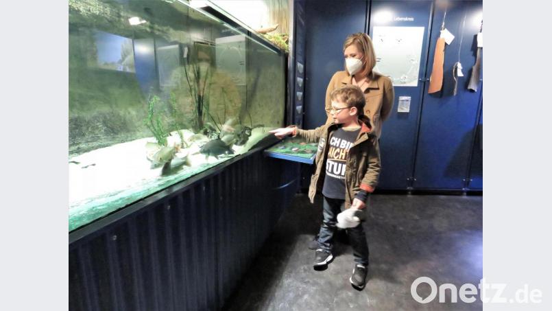 Der fünfjährige Maximilian Weiß aus Bleistein, im Bild mit seiner Mutter Stefanie Weiß, ist bereits leidenschaftlicher Angler. Deshalb haben ihm seine Eltern am Sonntag das Fischereimuseum gezeigt. Bild: ubb