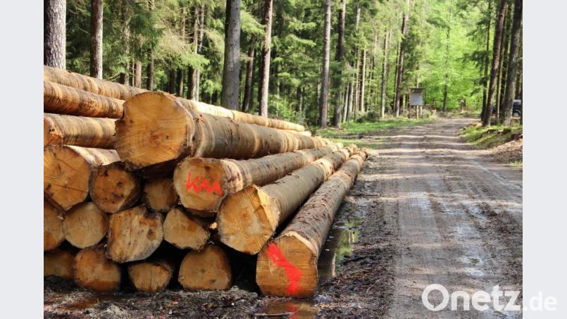 Rundholz frei Waldstraße - das ist die Recheneinheit der Waldbesitzer. Hier liegt es auf neben einem Forstweg im Hirschwald zum Abtransport bereit. Bild: upl