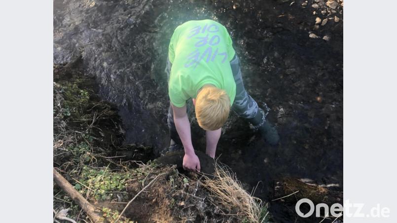 Drei Autoreifen mitsamt Felgen haben die Jugendlichen im Speckbach entdeckt - bereits zu zugewachsen, um sie ohne Hilfe aus dem Bach zu entfernen. Bild: Gertrud Burger/exb