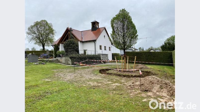 Eine 40 bis 50 Jahre alte Zwerghainbuche hat der Bauhof dieser Tage gepflanzt; sie ist der Mittelpunkt der neuen Urnenwiese. Bild: Eichl