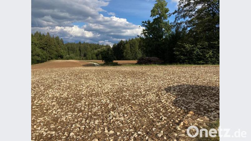 Ein Acker im Birgland ist mit Steinen übersät. Bild: ige