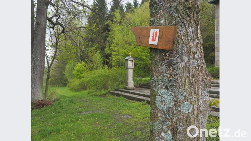 Die Wanderer finden rund um Bärnau einen Eichhörnchenweg: Der ist auch in der neuen Wanderkarte verzeichnet. Bild: exb