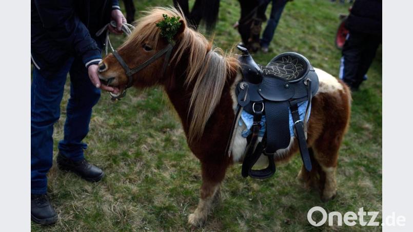 Ab 2024 wird es in München auf der Wiesn und bei anderen Volksfesten auf städtischen Flächen kein Ponyreiten mehr geben. Symbolbild: Vassil Donev