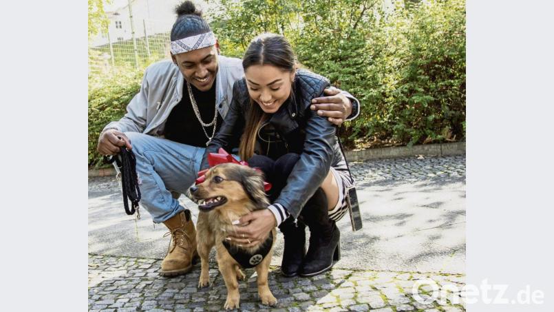 Bevor ein neuer Hund ins Haus einzieht, sollte die größte Trauer um den verstorbenen Liebling bewältigt sein. Bild: Christin Klose/dpa