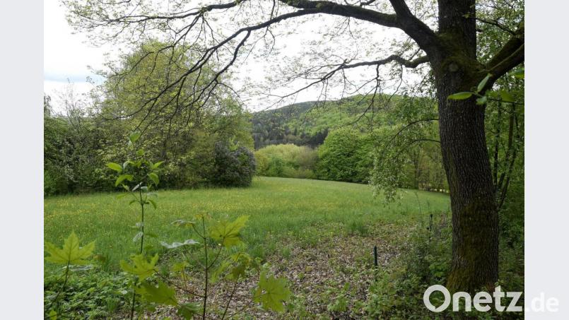 Viel Landschaft ist heute da, wo künftig die „Raigeringer Nordwand“ emporwachsen soll. Die SPD ist strikt gegen das Projekt. Bild: Petra Hartl