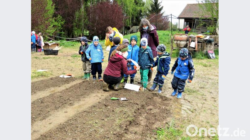 Vor dem Pflanzen erklären die Fachberaterinnen, um welches Gemüse es sich handelt. Bild: ubb