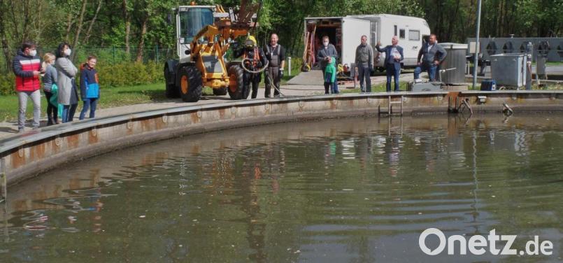 Taucher Finn Radau (Bildmitte) hat wieder festen Boden unter den Füßen. Bei einem Ortstermin informierten sich Mitglieder des Gemeinderates und Bürgermeister Peter König (Zweiter von rechts) über den Tauchereinsatz in der Kläranlage. Mit im Bild Klärwärter Markus Schraml (Dritter von rechts). Bild: br
