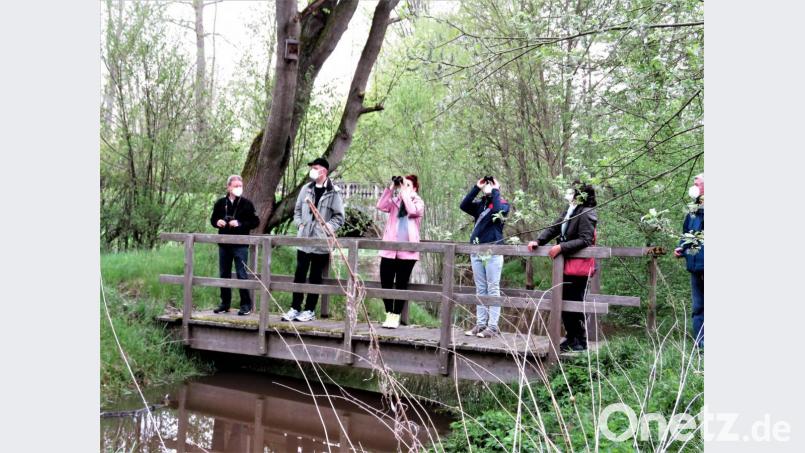 Roland Bönisch (Zweiter von links) leitete eine Vogelstimmenwanderung im Klostergarten Waldsassen. Von dieser Brücke aus konnte mit Ferngläsern so mancher Singvogel in den Bäumen entdeckt werden. Bild: ubb