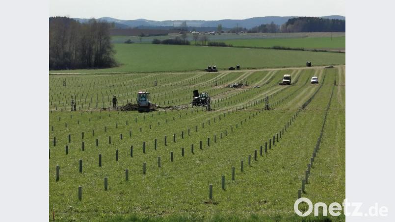 Dieser Teil des Solarparks 1 wird unterhalb des Bundeswehr-Schießplatzes aufgebaut. Die Fläche am Horizont, an der Straße nach Wildeppenried, ist am Entstehen. Der geplante Solarpark 2 liegt dazwischen. Bild: Portner