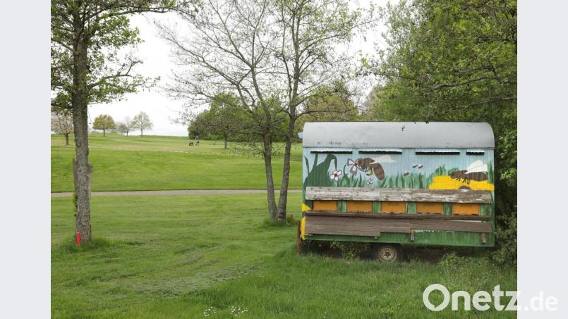 Ein buntes Bienenhaus steht am Rand des Golfplatzes Schwanhof. Bild: Wolfgang Steinbacher