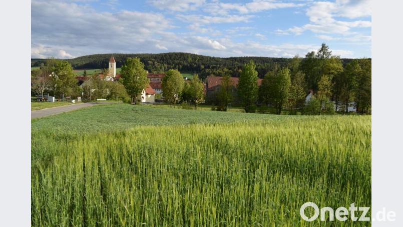 Am nördlichen Ortsrand von Altendorf soll das neue Baugebiet &quot;Wiesenäcker&quot; entstehen. Von hier aus bietet sich ein reizvoller Blick ins Schwarzachtal. Bild: bnr