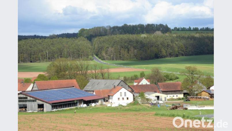 In 400 Metern Entfernung vom Ortsteil Engleshof wird am Waldrand der Süd-Ost-Link vorbeiführen. Bild: fsb