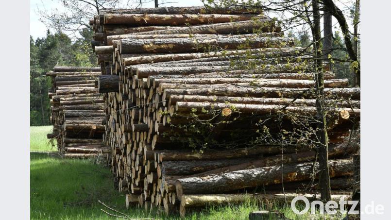 Die Holzernte im Auerbacher Bürgerwald fällt 2021 sehr stark aus. Symbolbild: Petra Hartl