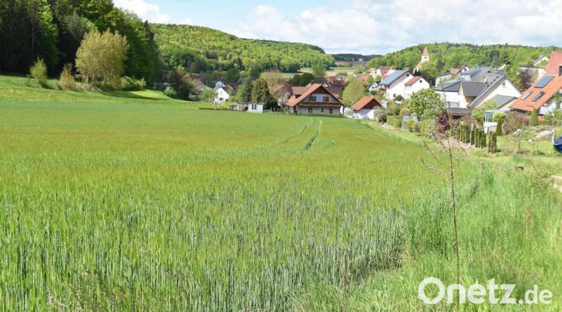 Blick auf die Fläche, auf der am östlichen Ortsrand von Illschwang das Baugebiet „Am Fichtelberg“ entstehen soll. Bild: no