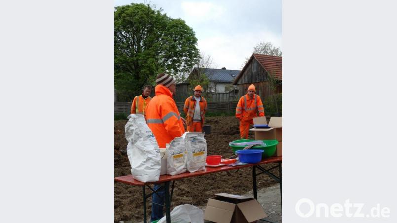 Aufblühende Gemeinden sichern die Artenvielfalt: Wie kommunale Grünflächen insektenfreundlicher werden, erklärte Kreisfachberater Harald Schlöger den Bauhofmitarbeitern. Bild: twg