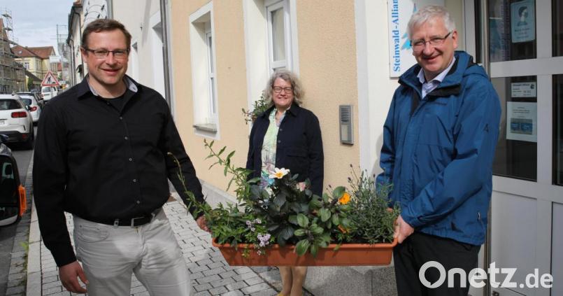Individuell angepflanzt wurden die insektenfreundlichen Blumenkästen für das Rathaus und die Geschäftsstelle der Steinwald-Allianz. Auf dem Bild (von links) Geschäftsführer Martin Schmid, Projektmanagerin Eva Gibhardt und Bürgermeister Johannes Reger. Bild: njn