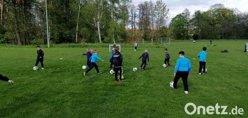 Endlich kann der Fußballnachwuchs der TSG wieder auf dem grünen Rasen seinem geliebten Hobby nachgehen. Bild: bk