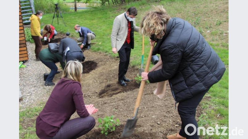 Die geladenen Gäste beim Pflanzen der heimischen Beerensträucher rund um das Geo-zentrum an der KTB. Bild: fsb