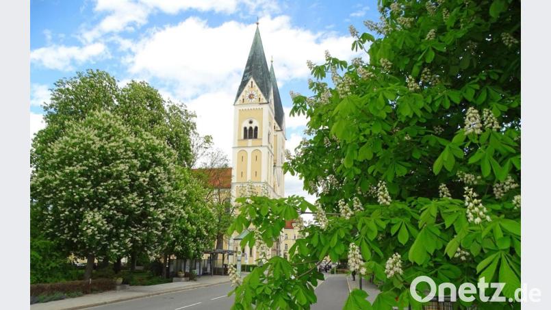 Üppige Kastanienblüte auf der Allee in Weiden. Bild: Dobmeier