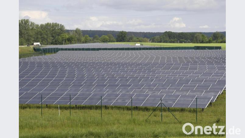 Freiflächen-Photovoltaikanlagen erleben einen Boom. Der Marktrat Winklarn sprach sich in seiner Sitzung gegen Solarparks aus. Archivbild: Petra Hartl